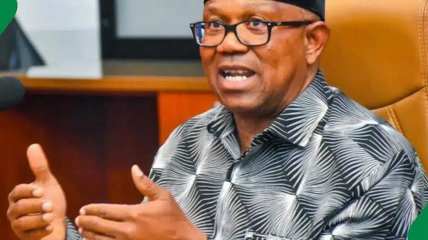 NDC Chieftain, Umeh Clarifies Peter Obi’s Remark On Parallel Result Collation System