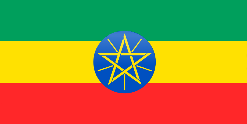 Ethiopia’s army chief accuses Egypt and Sudan of backing armed alliance seeking to oust Abiy Ahmed